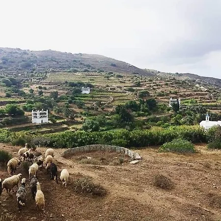 Appartamento Irene - Tarambados - Tinos *